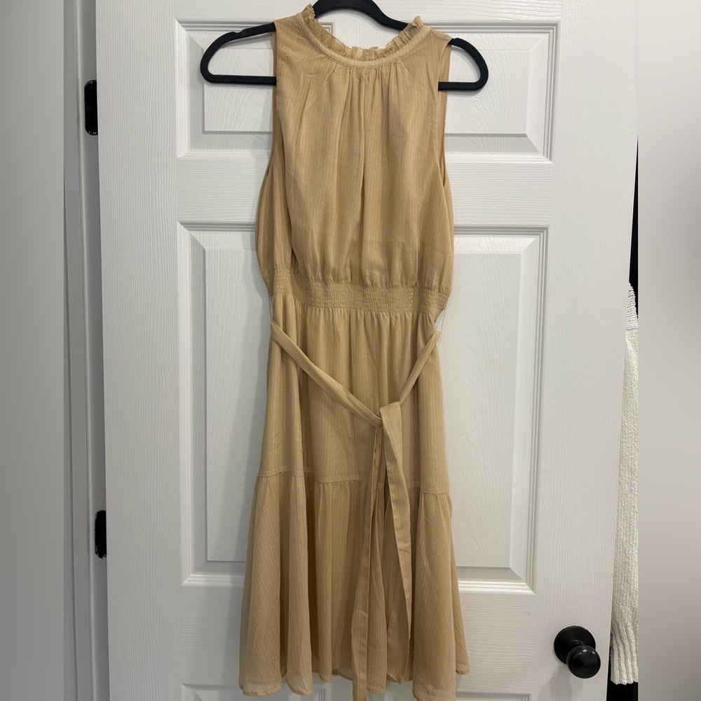 Ann Taylor Gold and Silver Sleeveless Dress